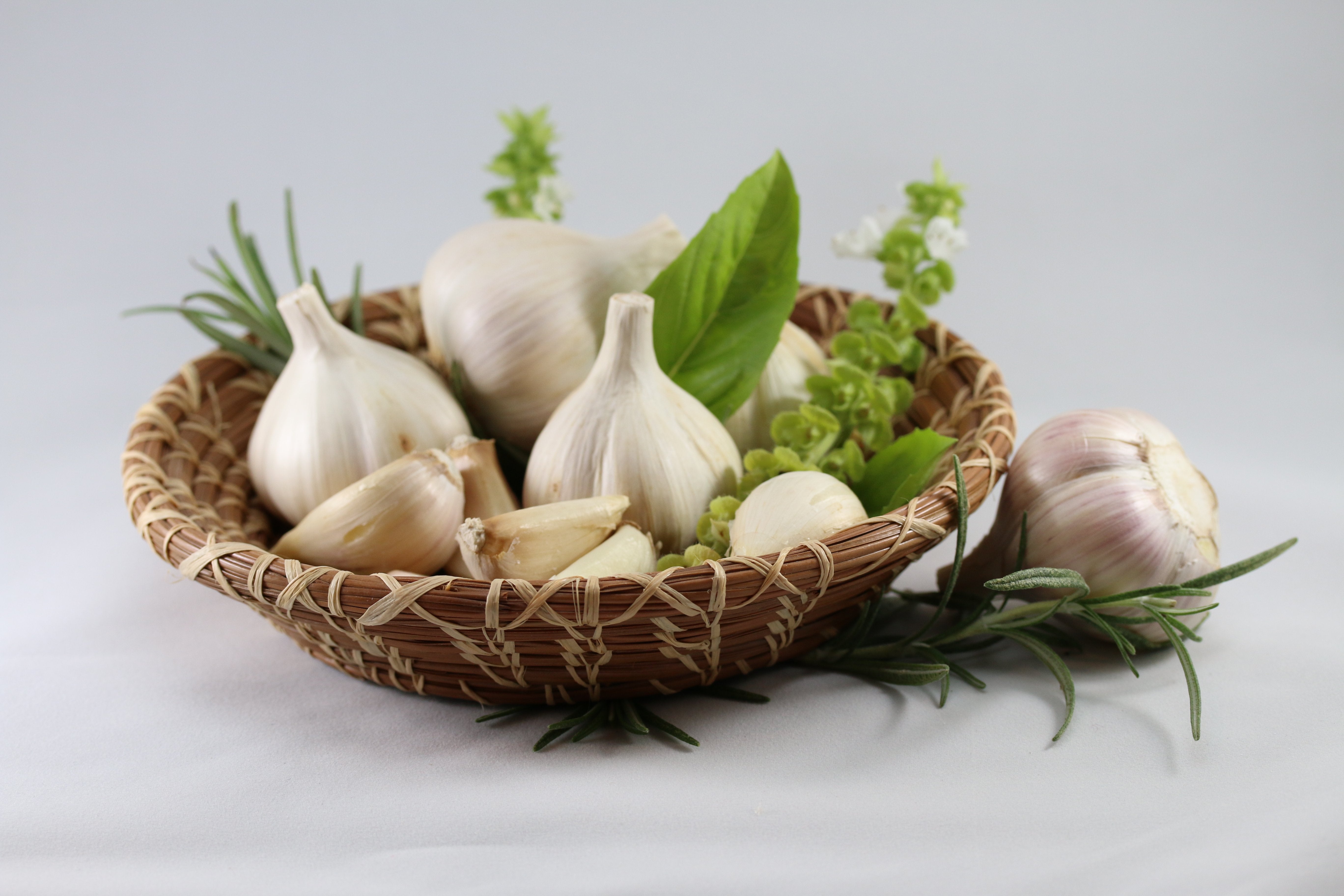 Our Garlic Products – Stonebridge Garlic